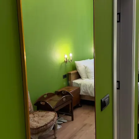 Antique Ferhadija Tanjin Apartment *