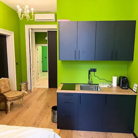 Antique Ferhadija Tanjin Apartment Sarajevo