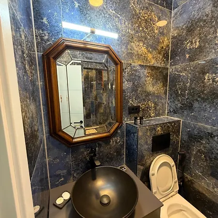 Antique Ferhadija Tanjin Apartment *